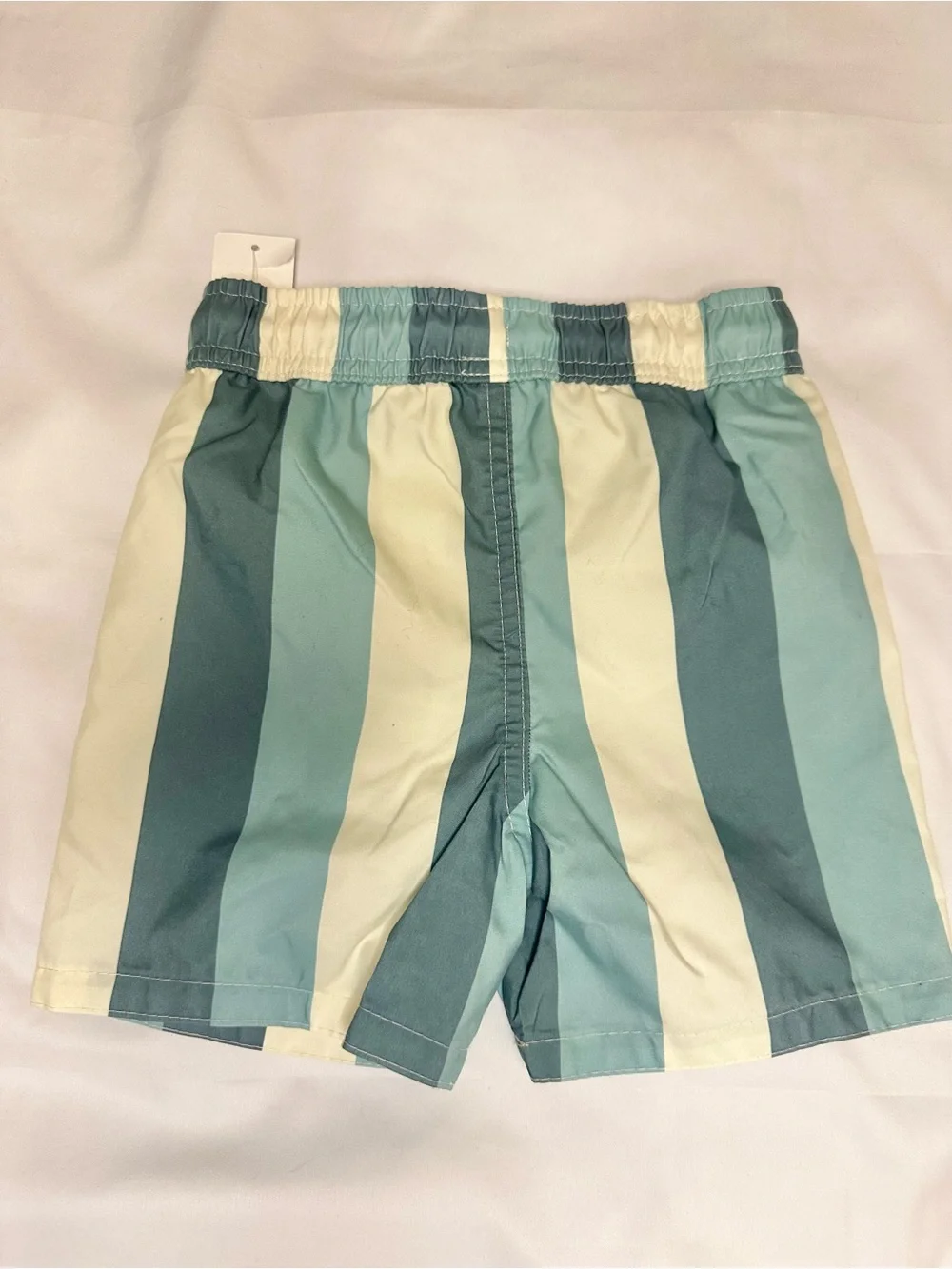 Bluey Boys Striped Swim Trunks Size 3T NWT